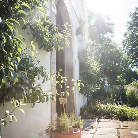 Hotel Romantik Elixhauser Wirt